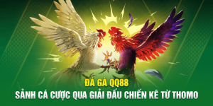 Đá gà QQ88